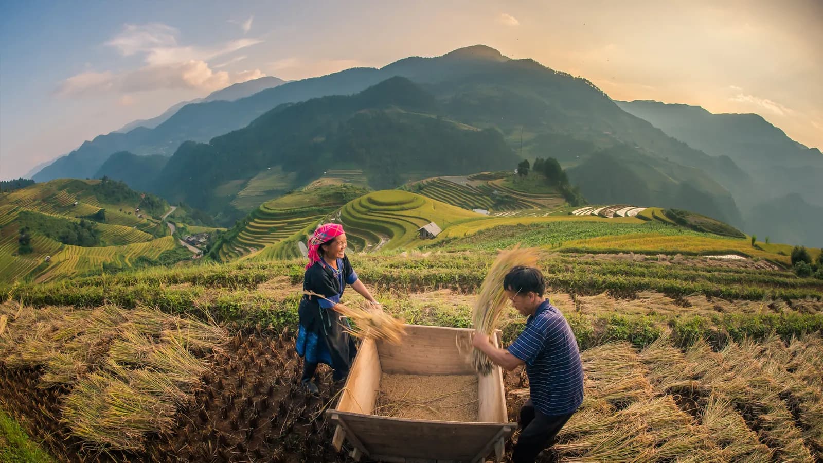 Sapa nồng nàn sắc thu