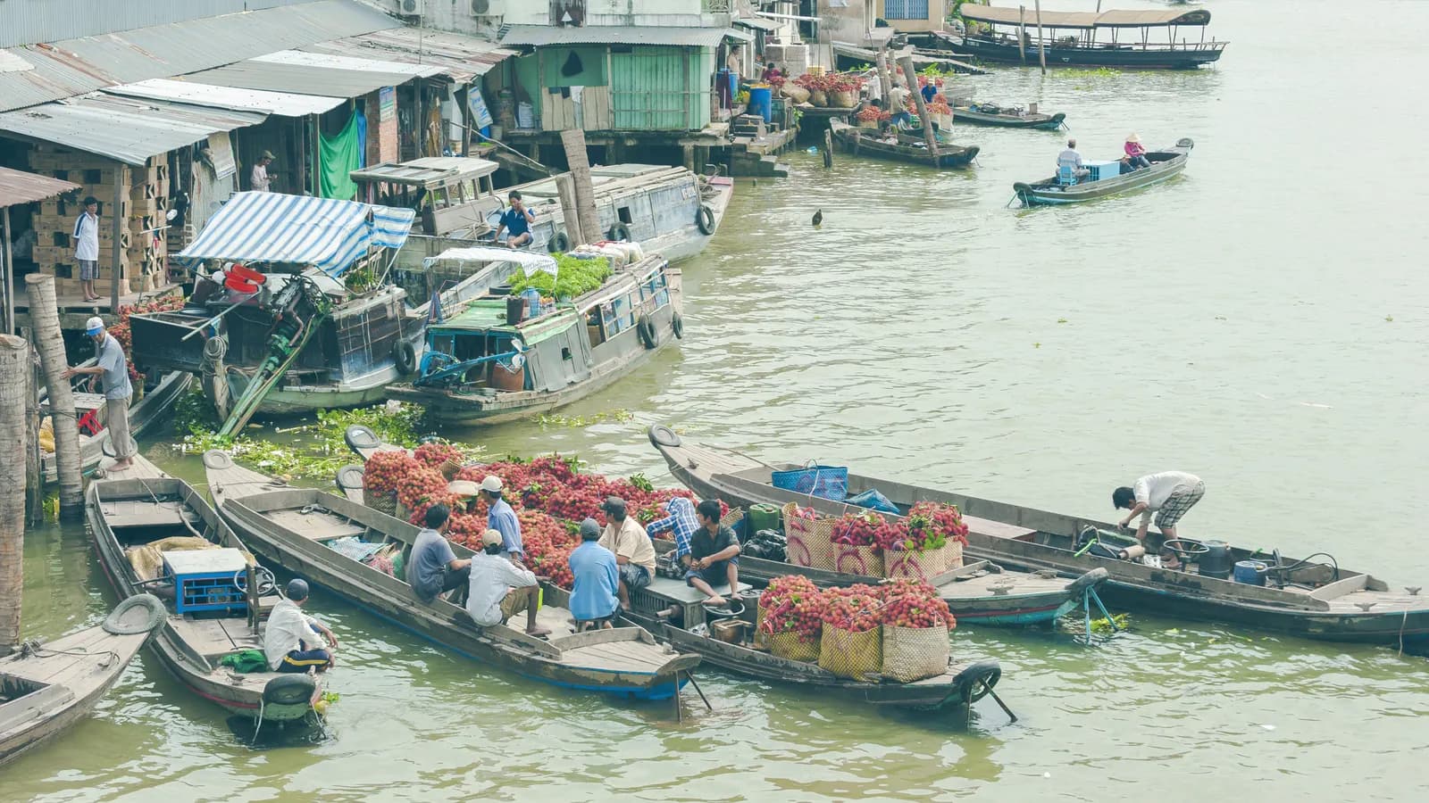 Mênh mang sông nước miệt Cái Bè