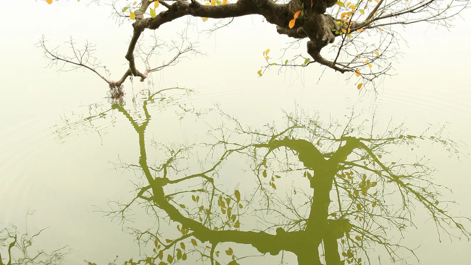 Lang thang Hà Nội một ngày cuối thu