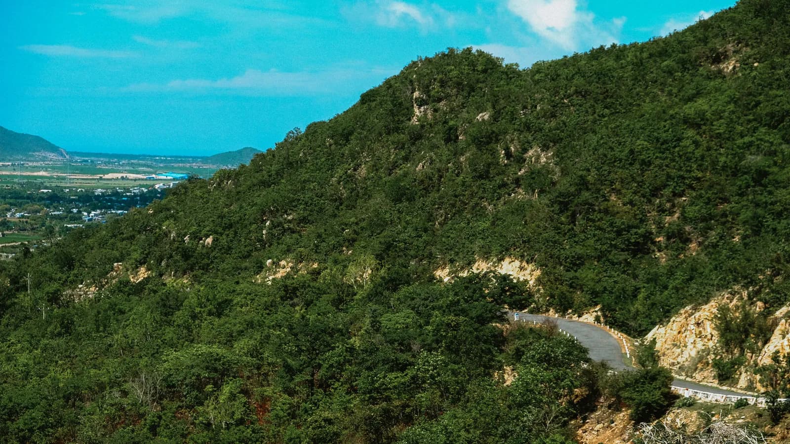 Phan Dung Forest