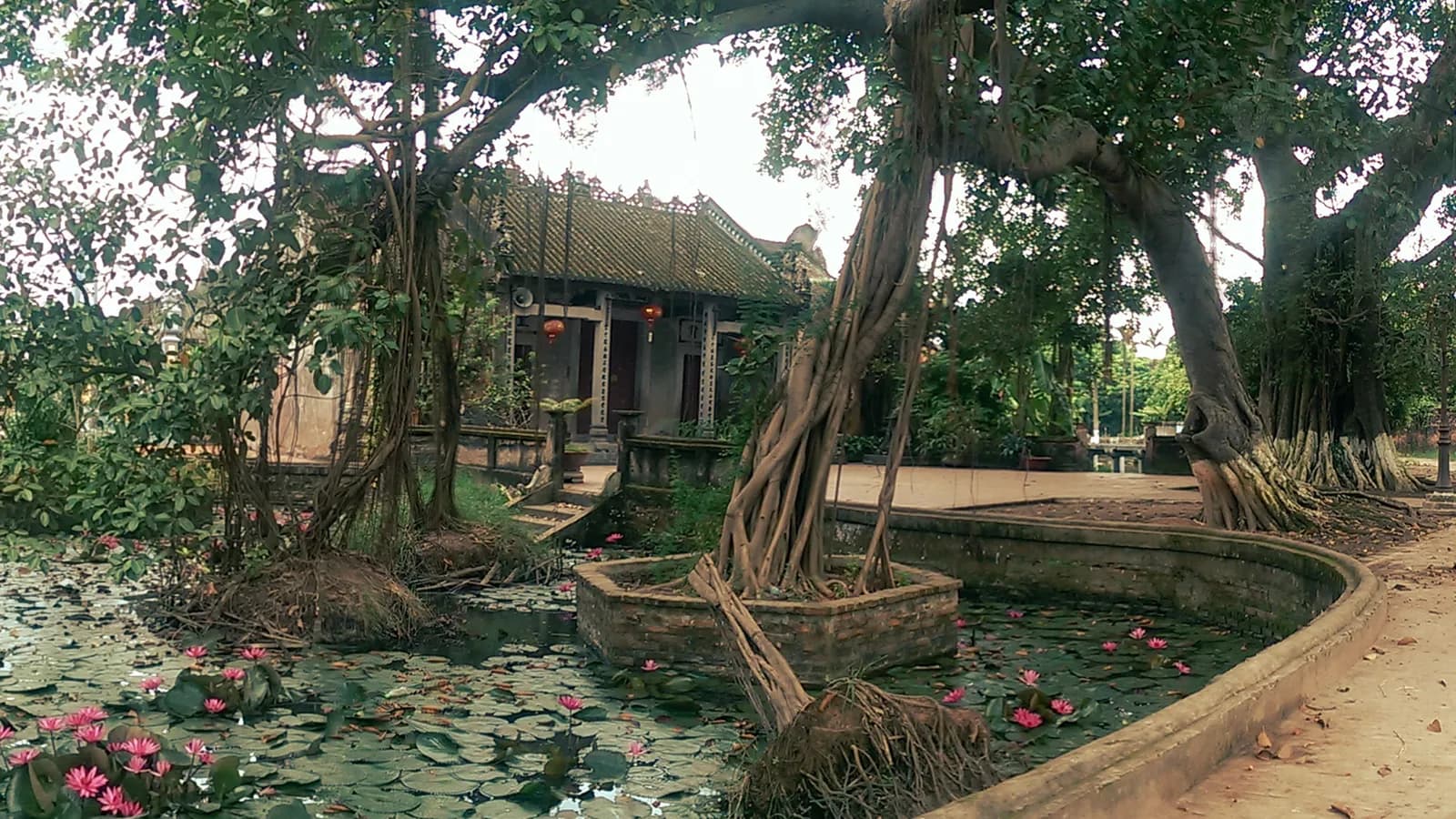 Về làng Nôm đi tìm làng Việt cổ của thời “vang bóng”