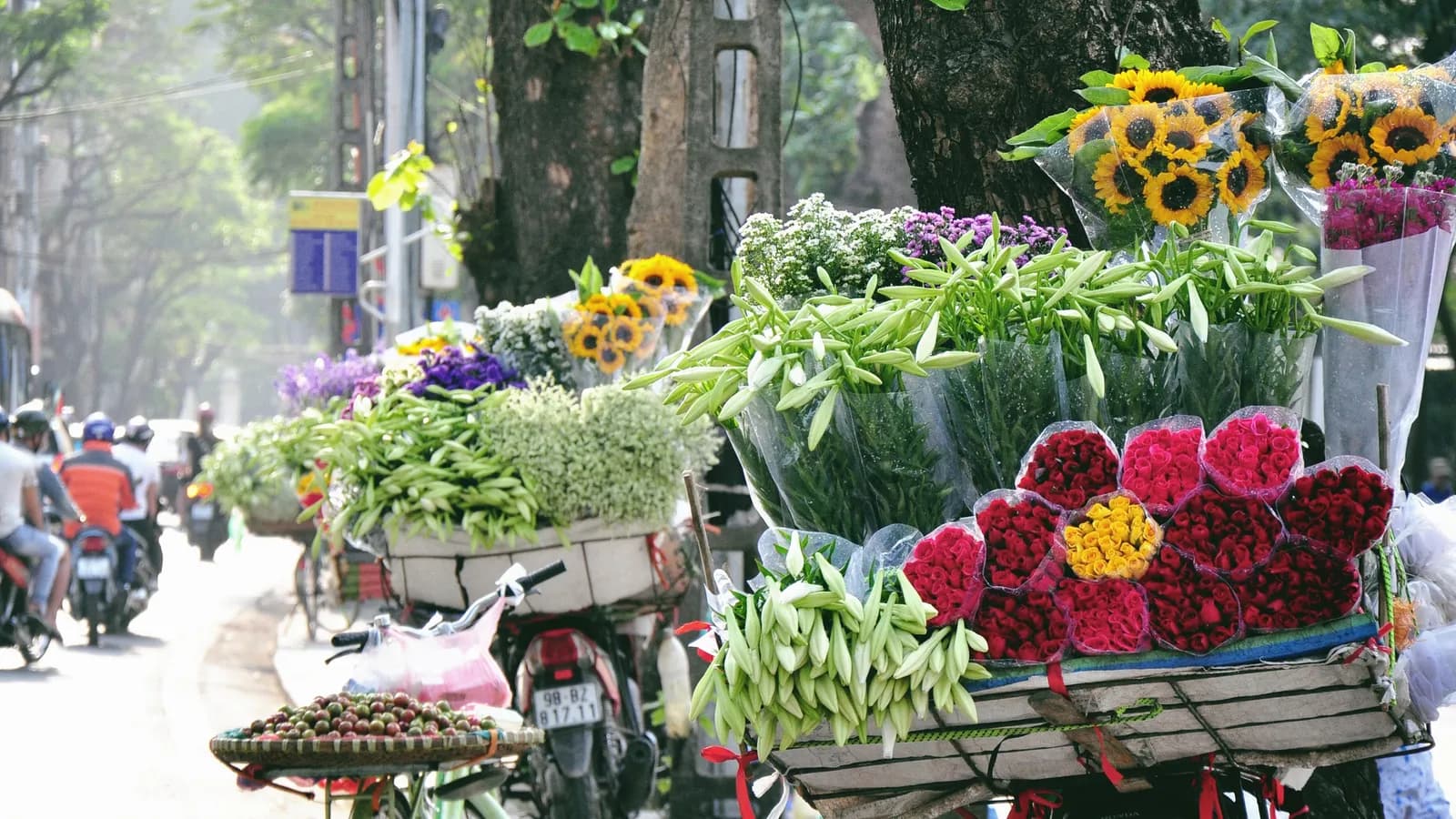 Khi những bông loa kèn tinh khôi xuống phố