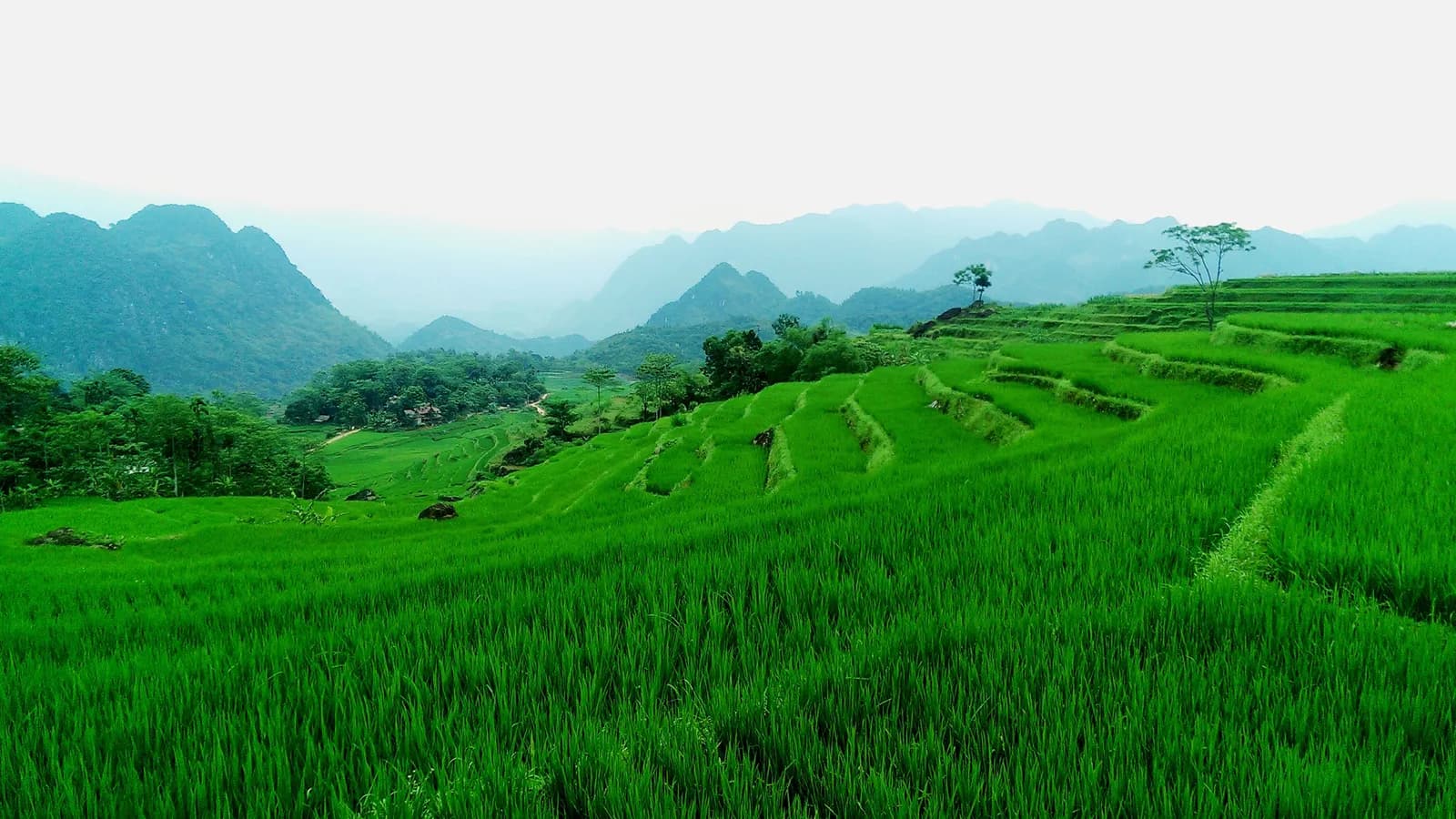 Pù Luông – Vầng núi ngỡ chân mây