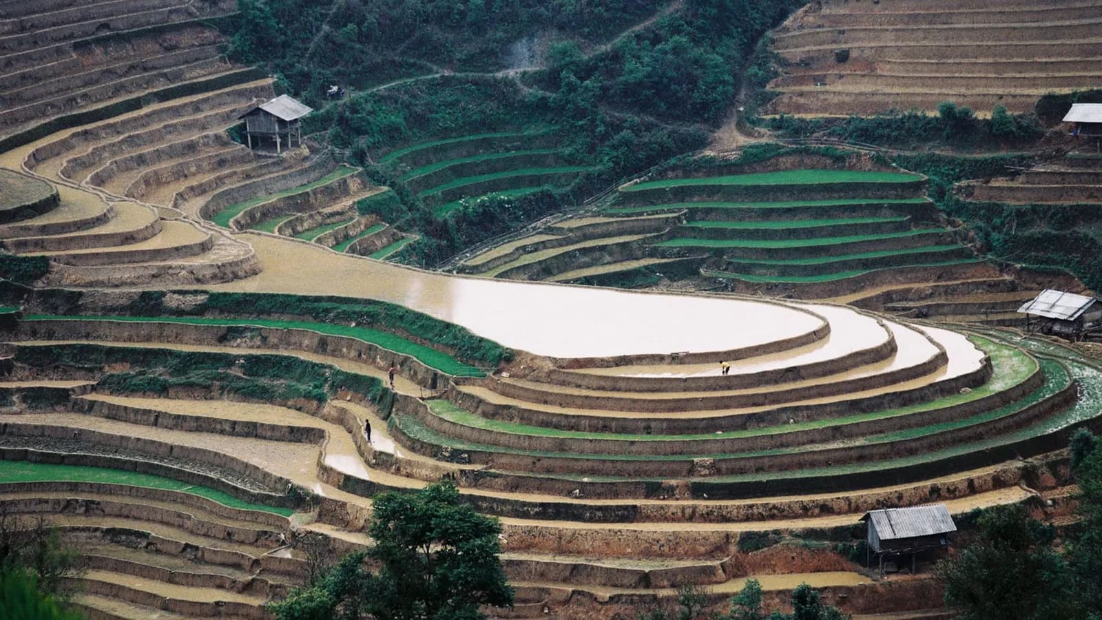 Đi đâu để ngắm mùa nước đổ vùng cao miền Bắc?