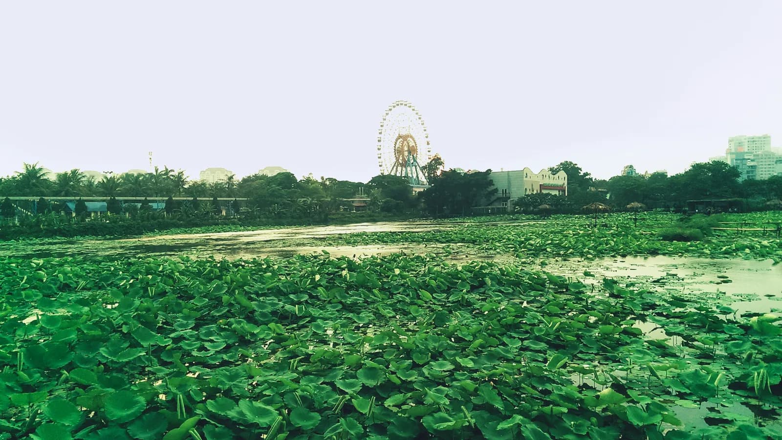 Chiều hồ Tây, thả vào những điều không tên