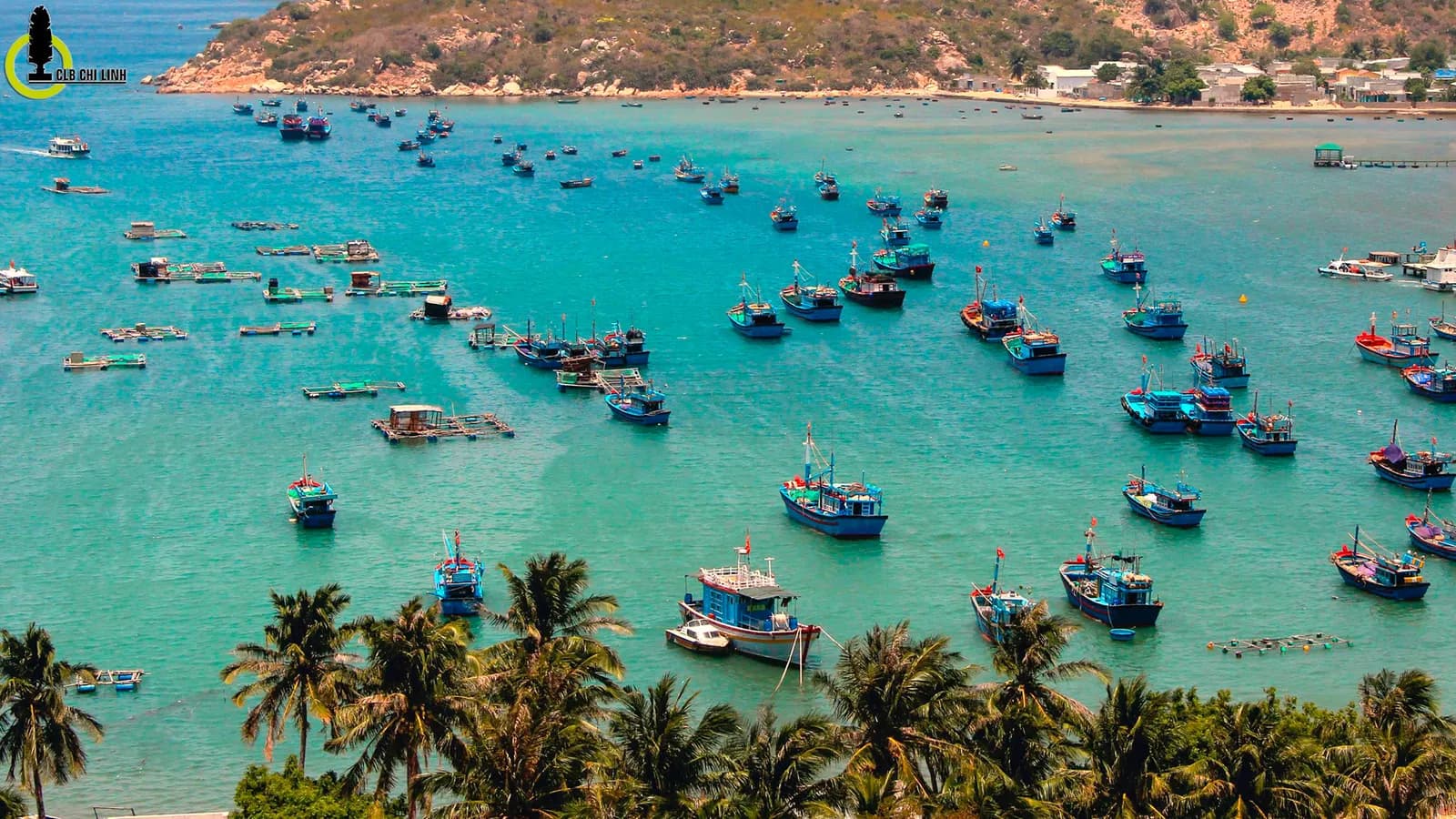 Đi Ninh Thuận đón nắng vàng và gió biển miền Trung