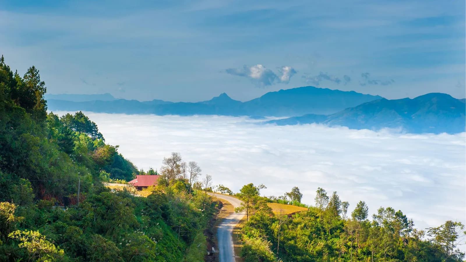 Bí kíp săn mây vùng cao miền Bắc