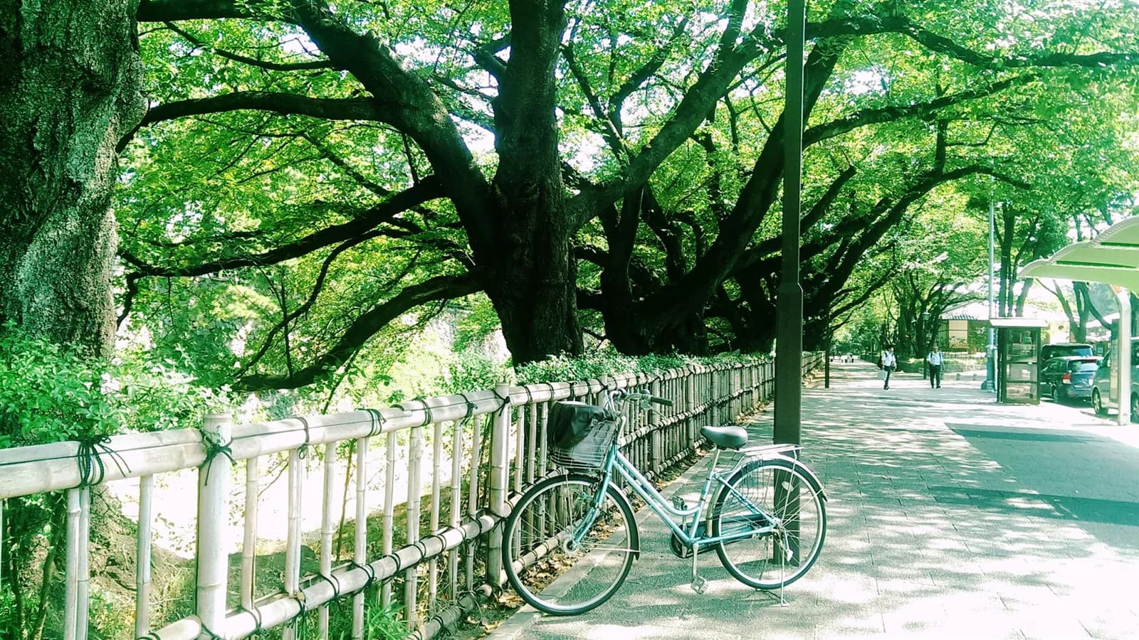 An yên dưới những vòm xanh