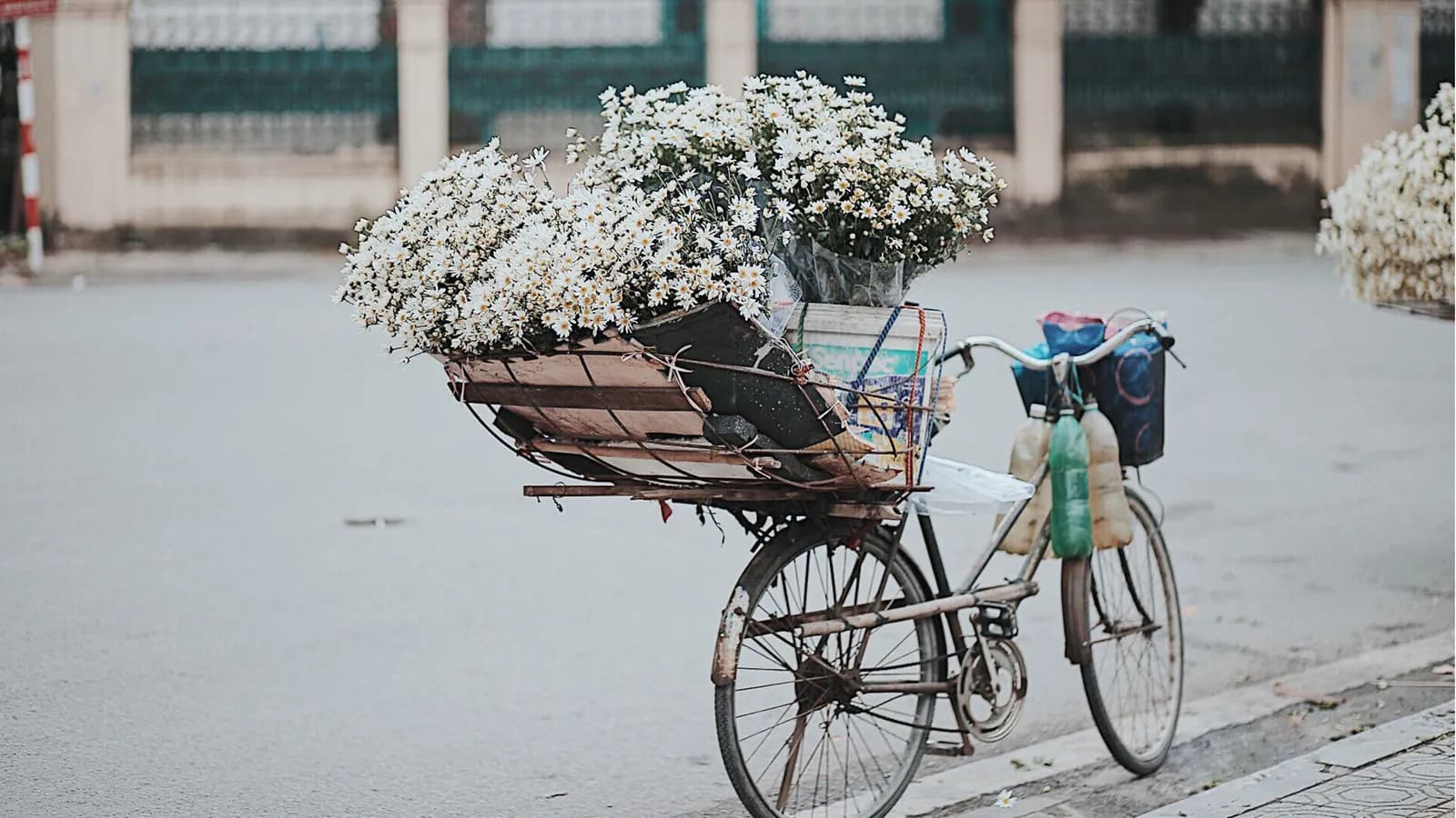 Cho những ngày tháng chạp bớt vội vã