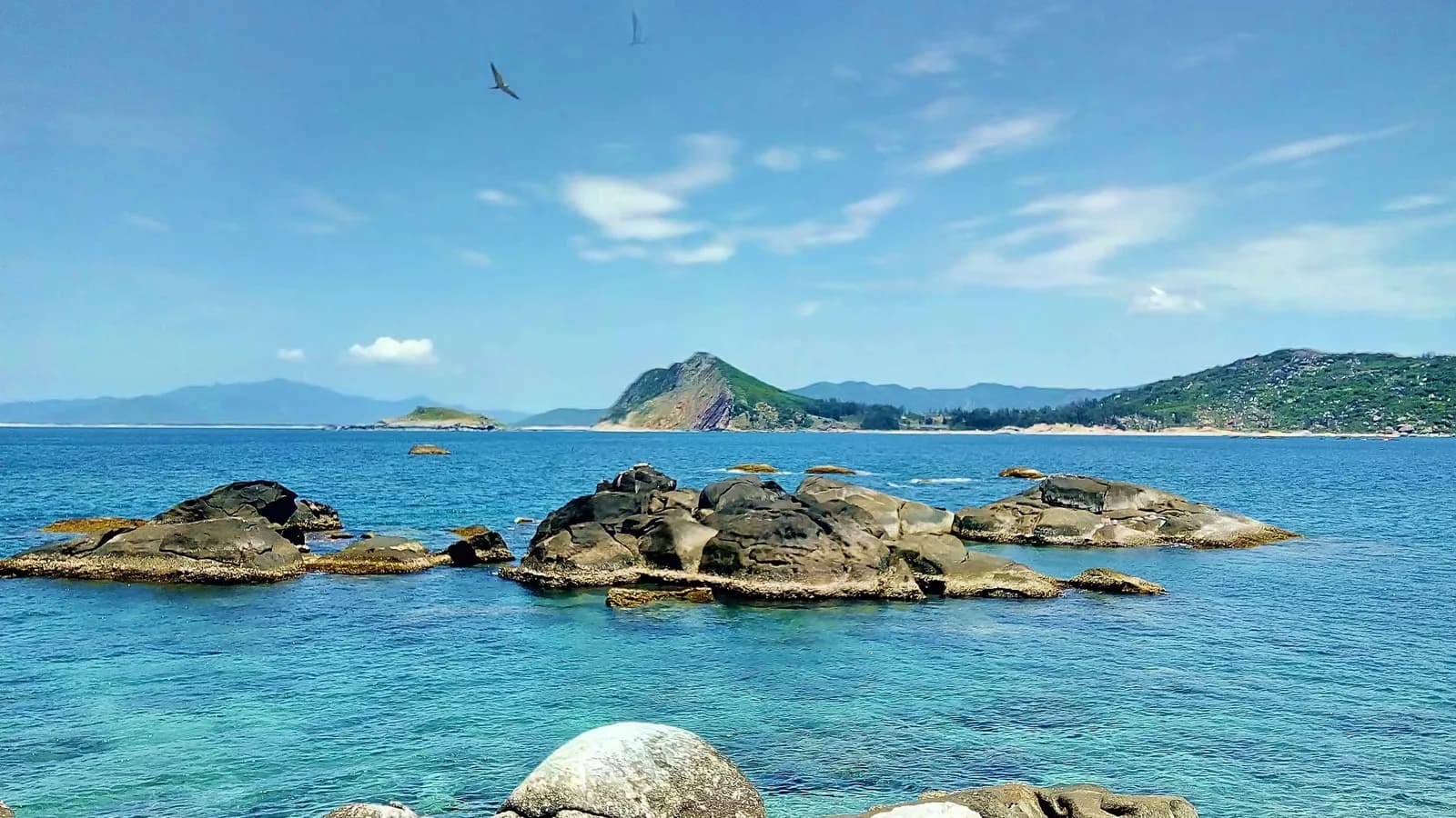 Tạm biệt phồn hoa, ta đi hoang đảo làm Robinson