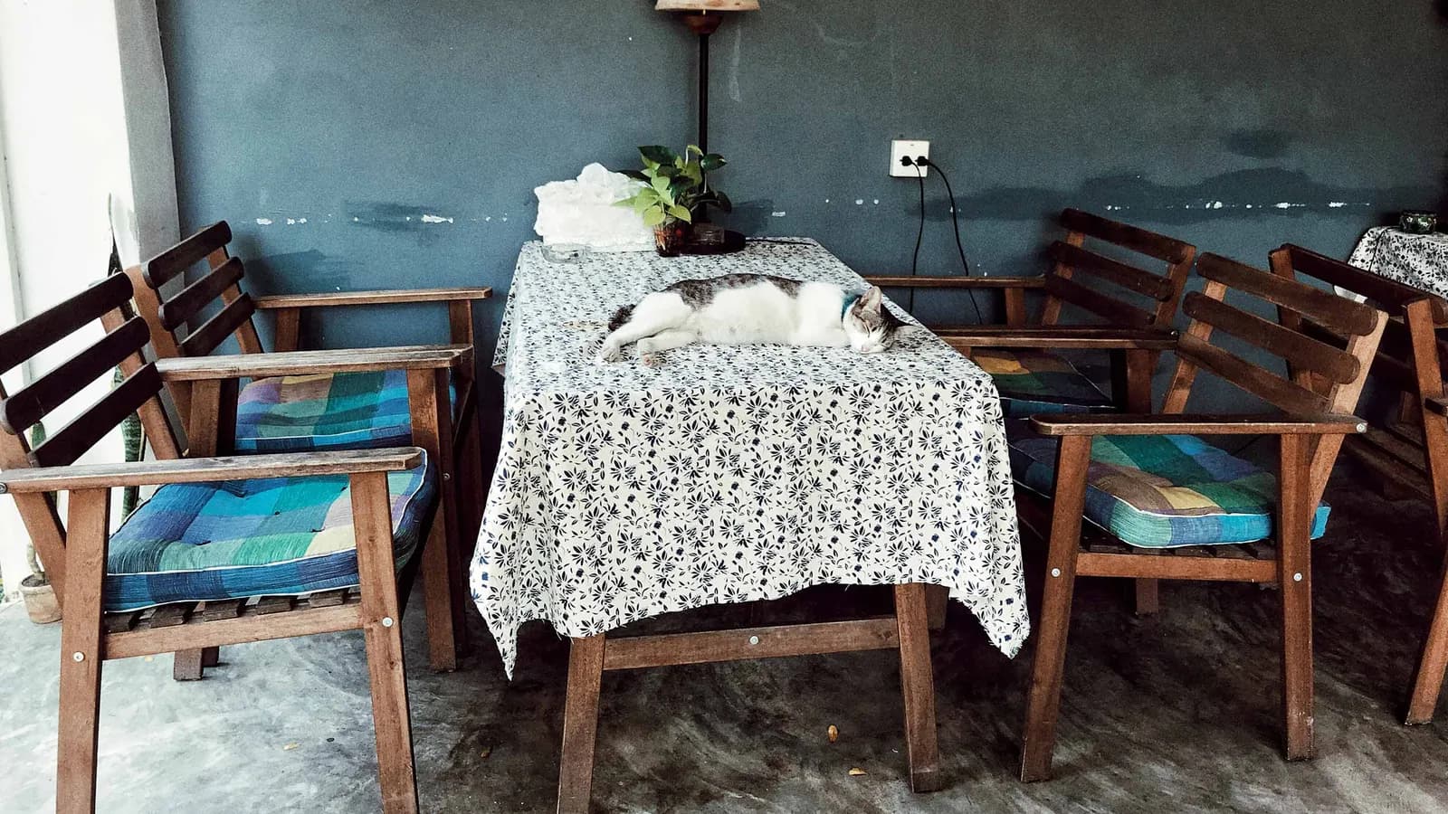 Tìm thấy bình yên ở Mona Chiang Mai