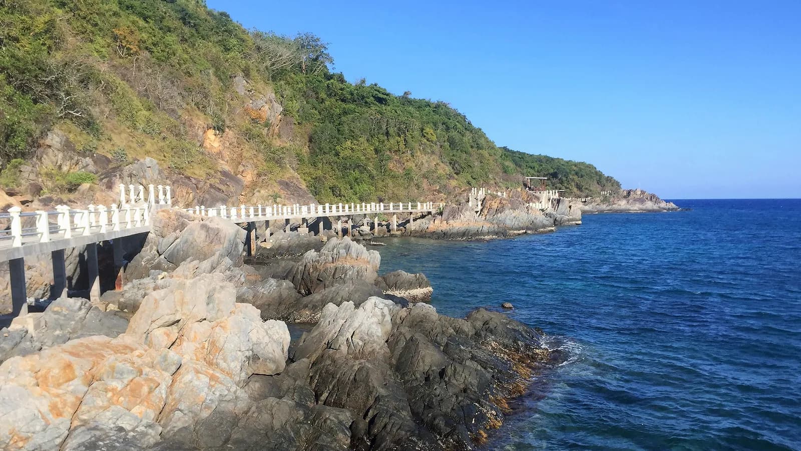 Đêm trên đảo yến Đông Tằm