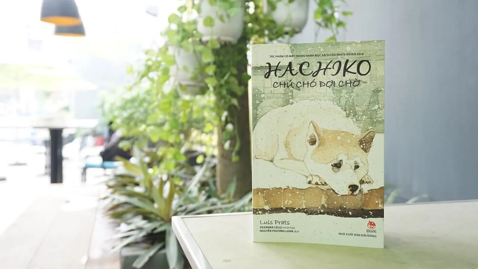 Hachiko - Biểu tượng của tình bạn mãi mãi