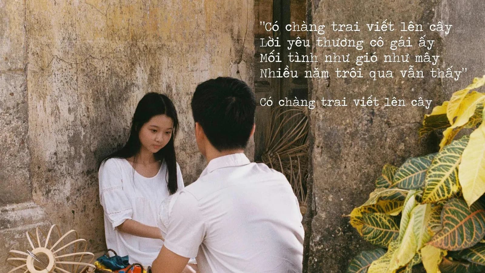Tối xem "Truyện ngắn", đêm về mộng mơ