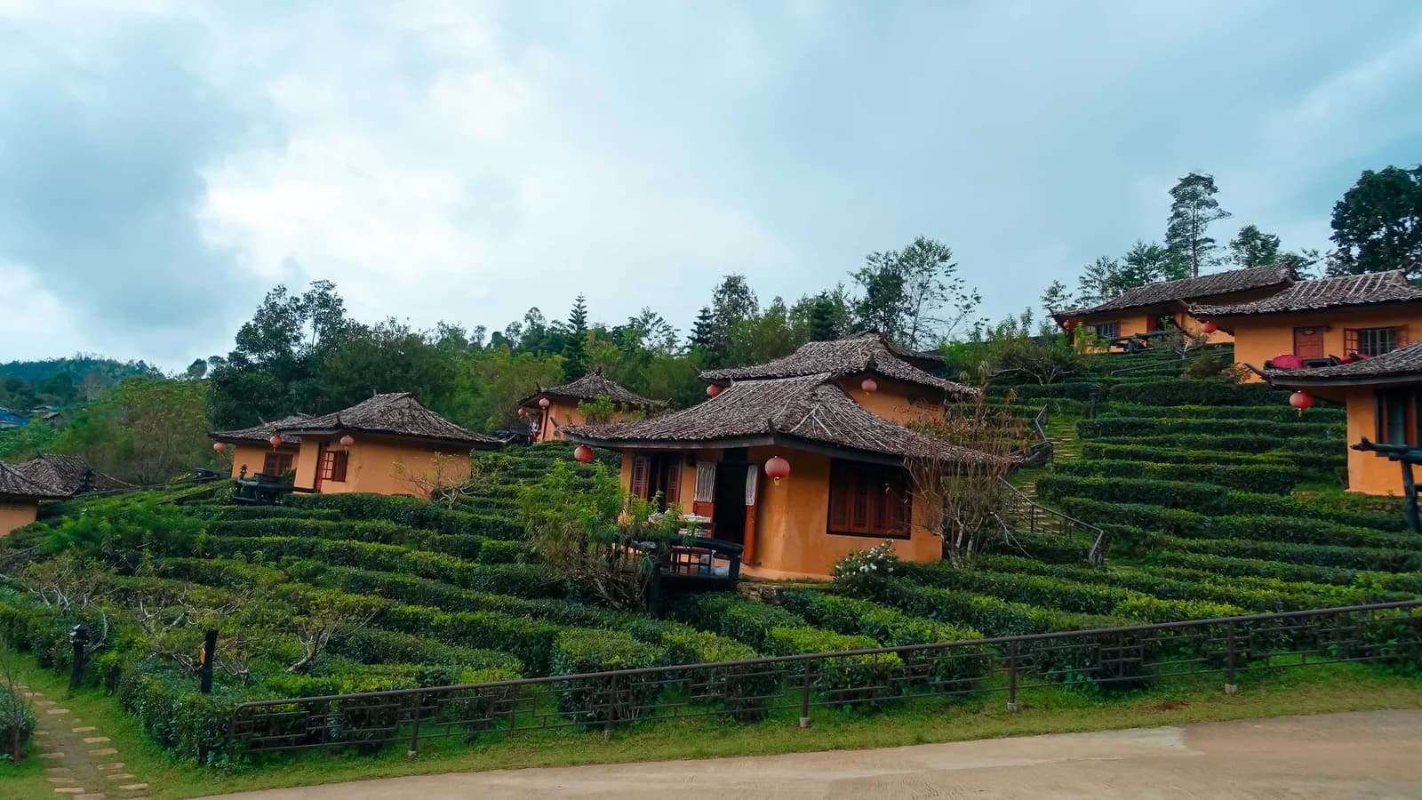 Nhấp ngụm trà thơm vào một ngày bình yên ở Ban Rak Thai