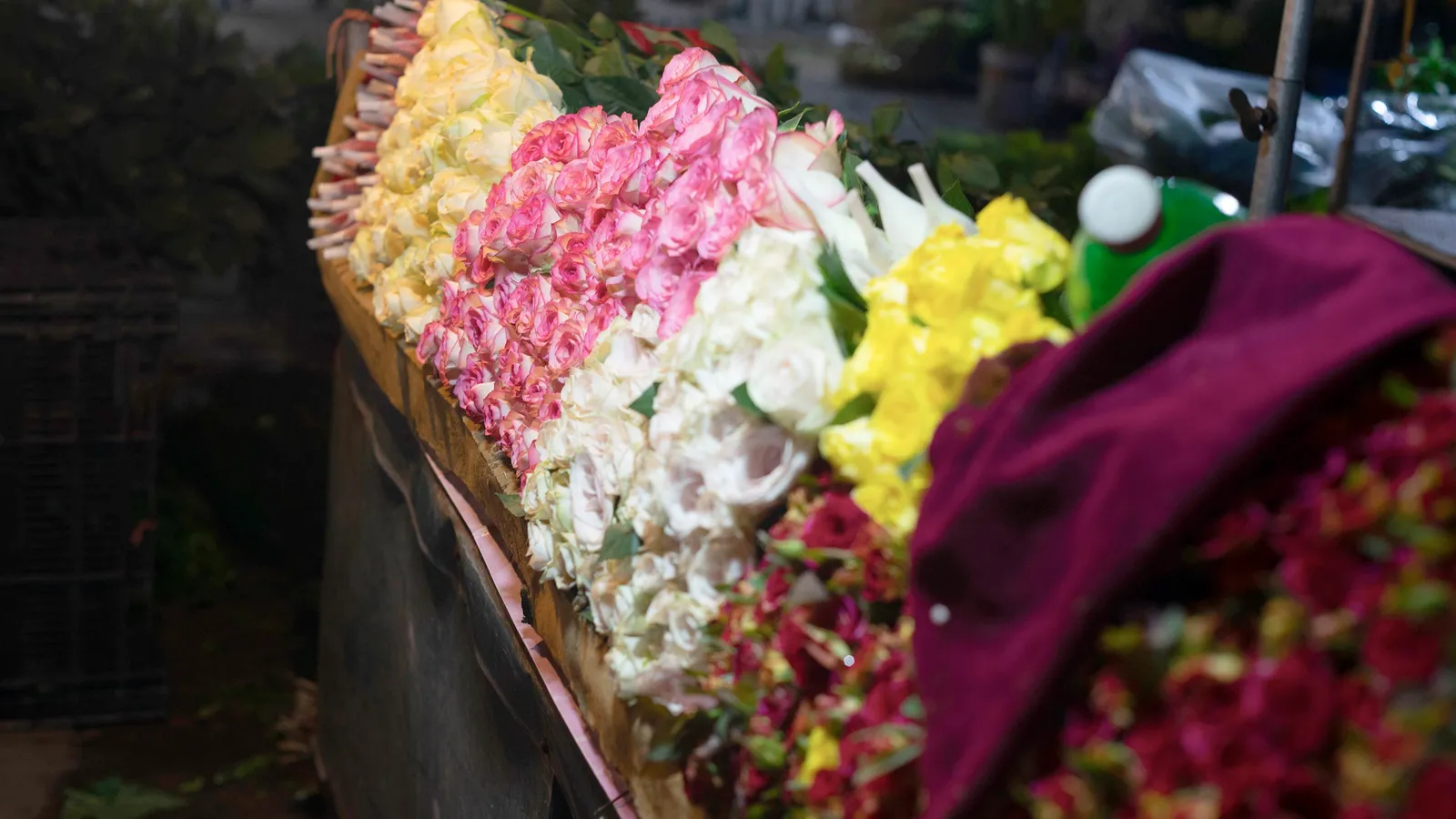 Hà Nội một sớm đầy hoa