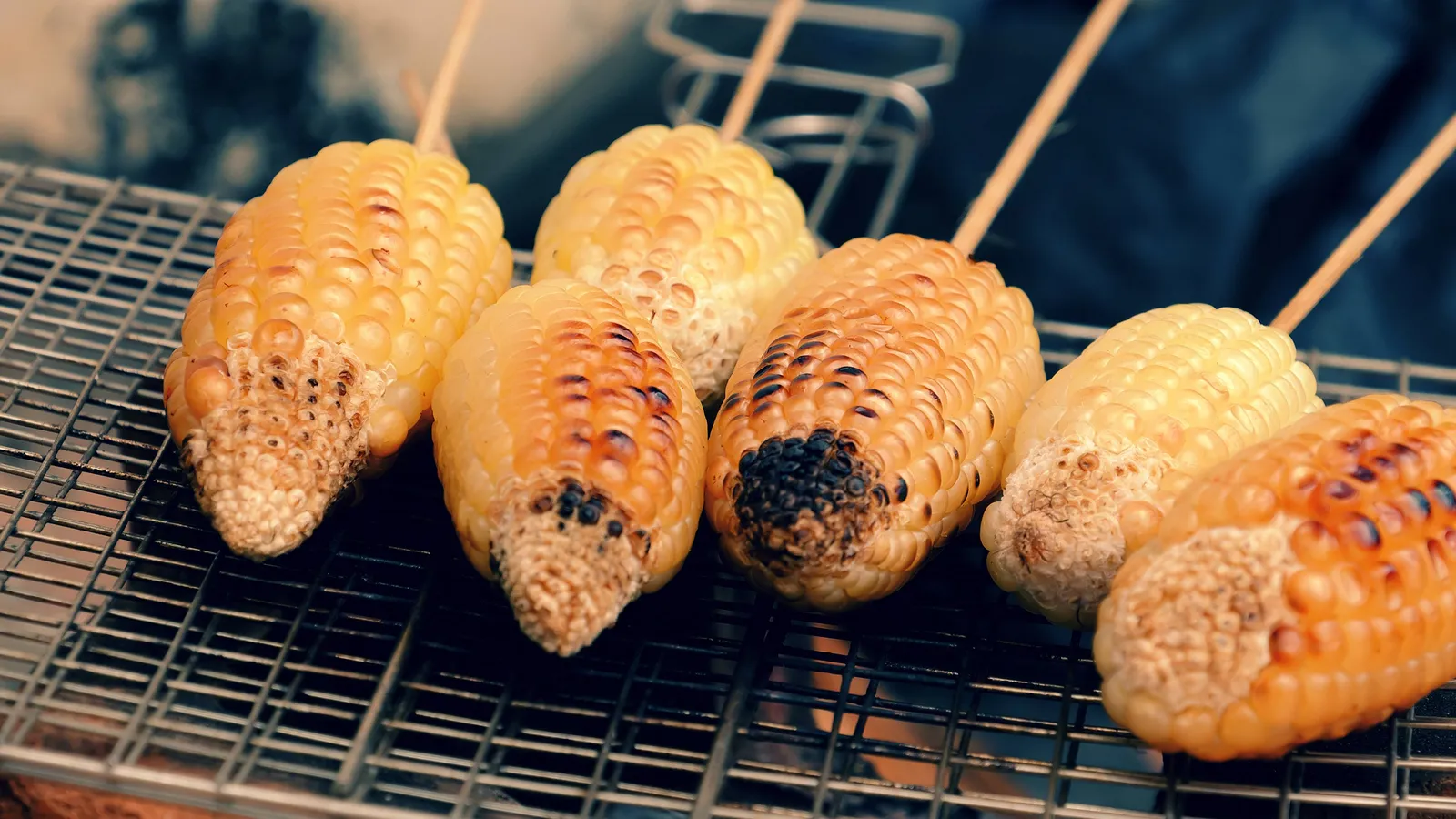 Nét riêng chỉ có ở mùa đông Hà Nội 
