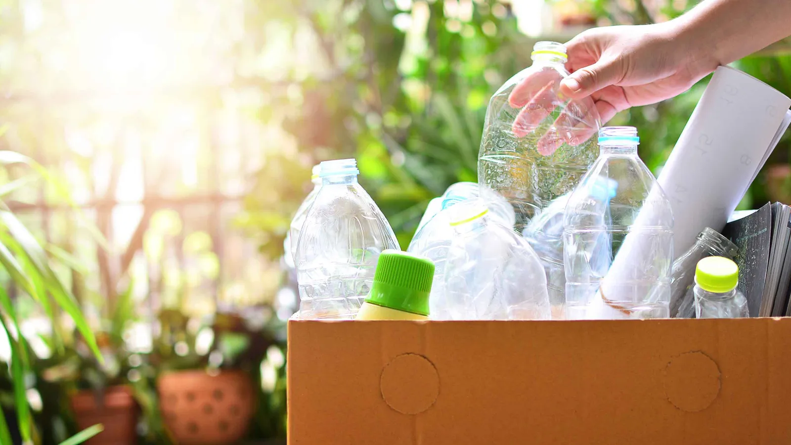HOW SHOULD WE TREAT THE PLASTIC? (Bilingual Ver.)