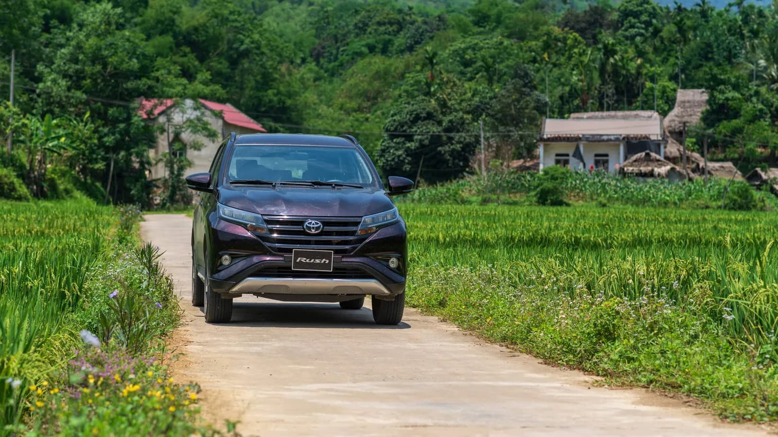 Cẩm nang du lịch thung lũng đẹp như tranh Pù Luông cùng Toyota Rush