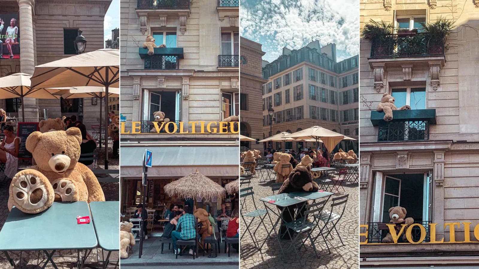 Những chú gấu bông khổng lồ ở các quán cà phê tại Paris