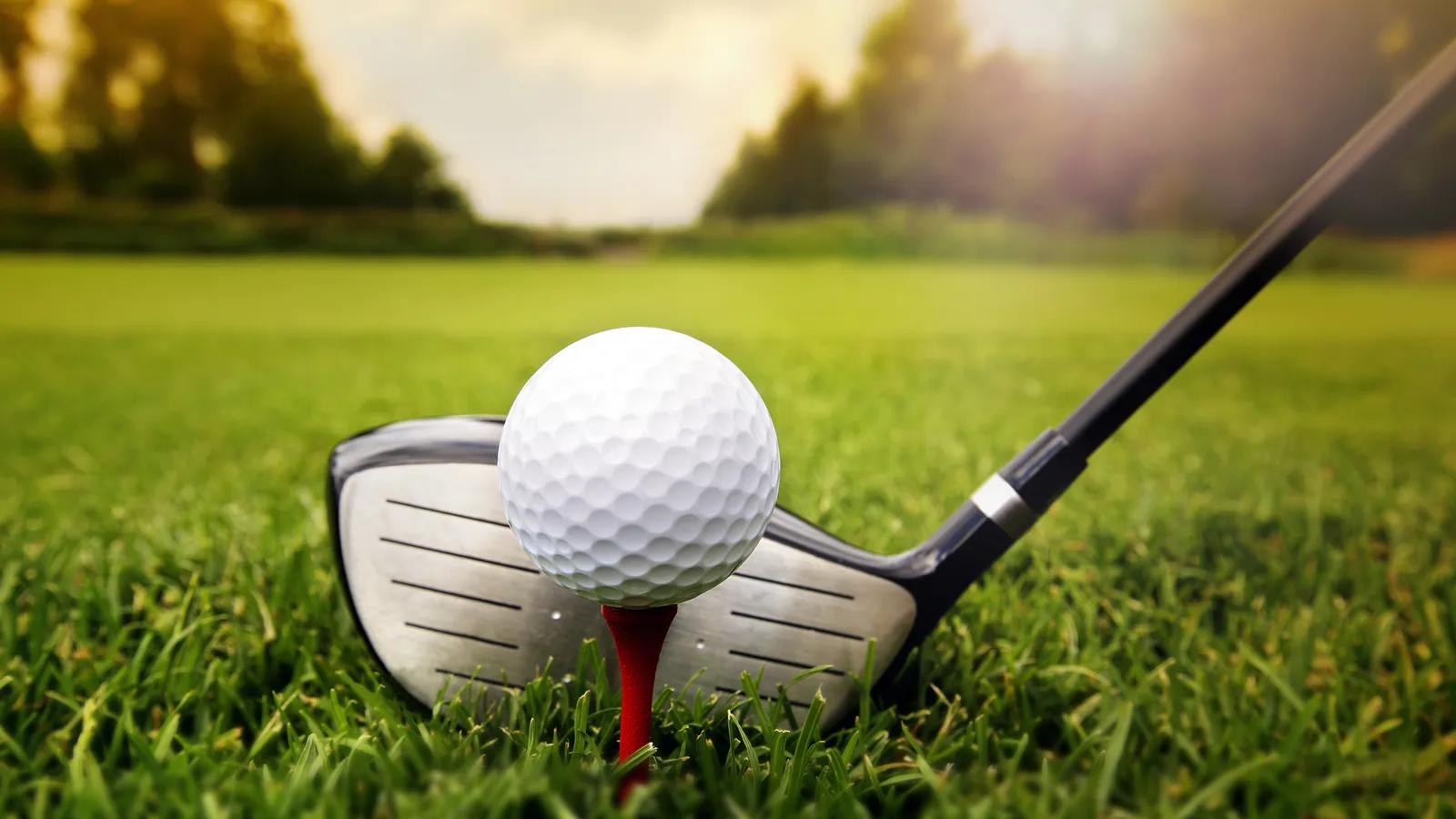 Nhập môn chơi Golf - Phần 1