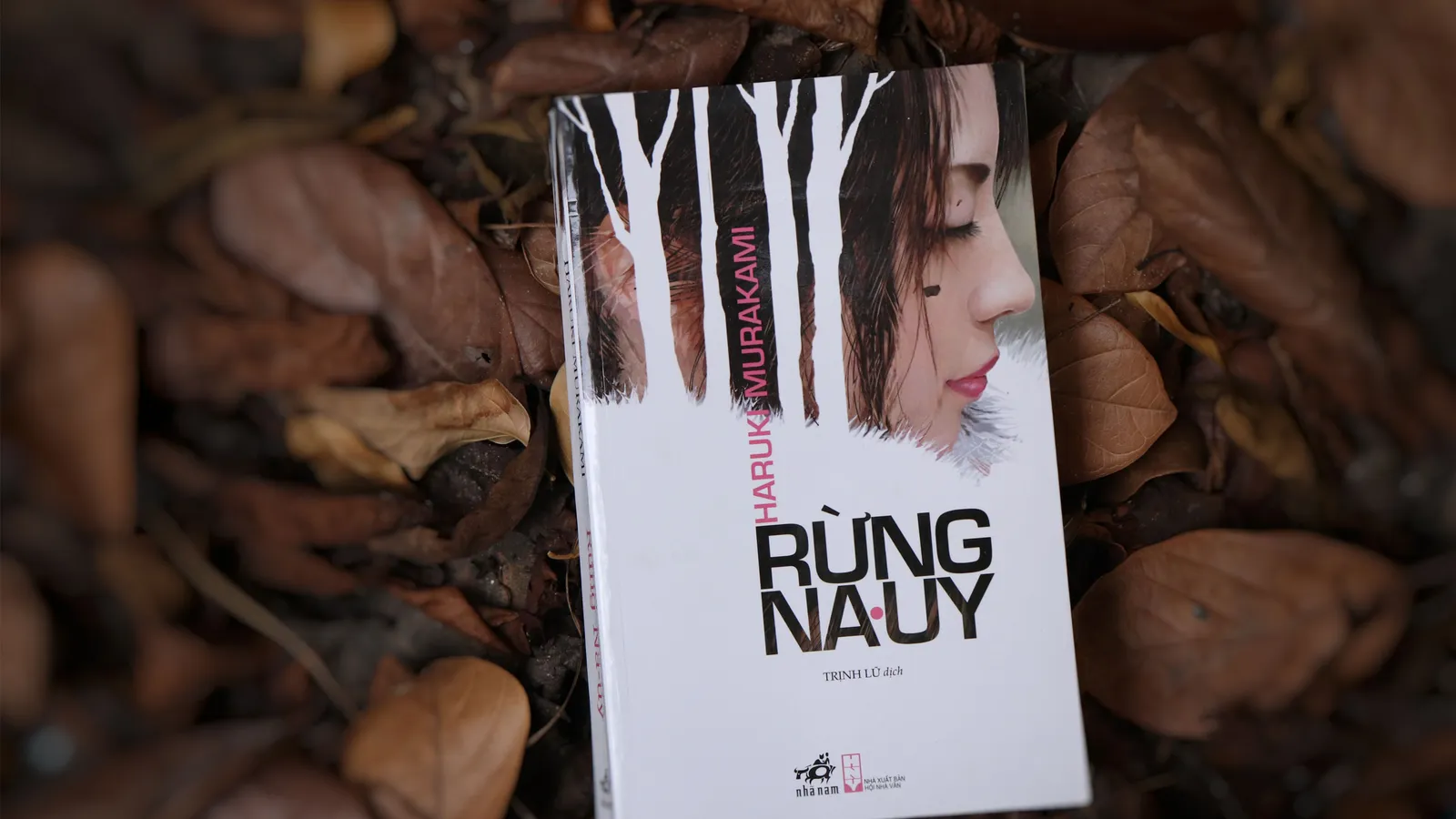Rừng Na Uy: Khi cái chết là một phần của sự sống 