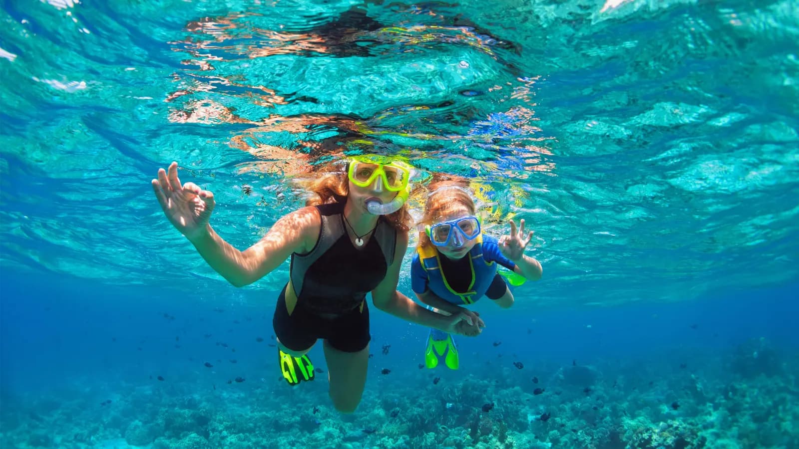 9 lý do bạn nên trải nghiệm snorkeling ít nhất một lần trong đời