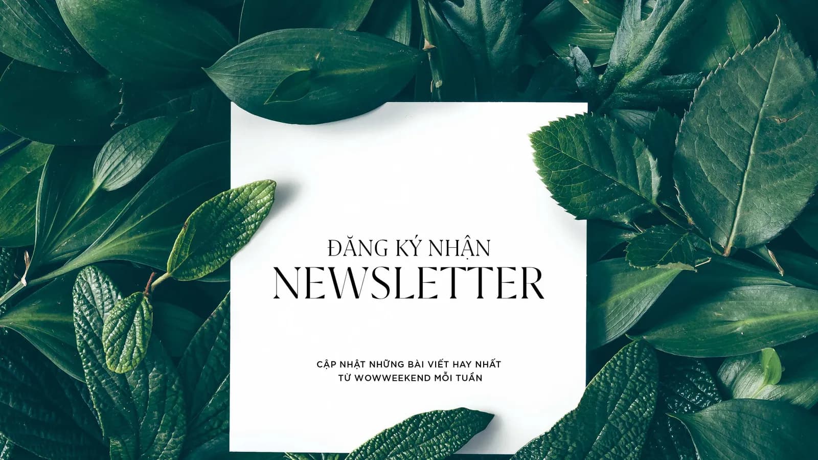 Đăng ký nhận Newsletter ngay để luôn được cập nhật những bài viết hay nhất từ WOWWEEKEND mỗi tuần