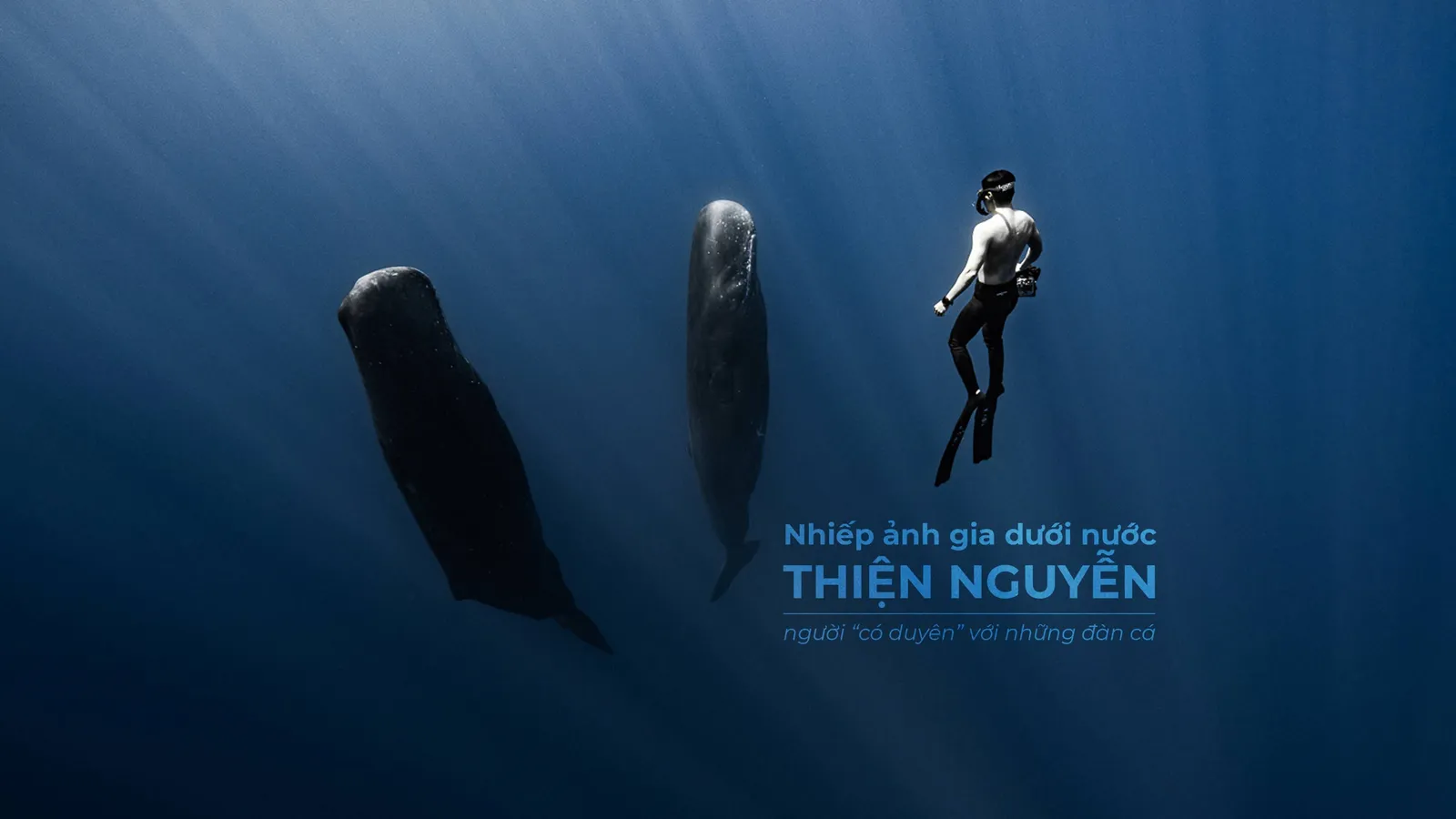 Nhiếp ảnh gia dưới nước Thiện Nguyễn – người “có duyên” với những đàn cá