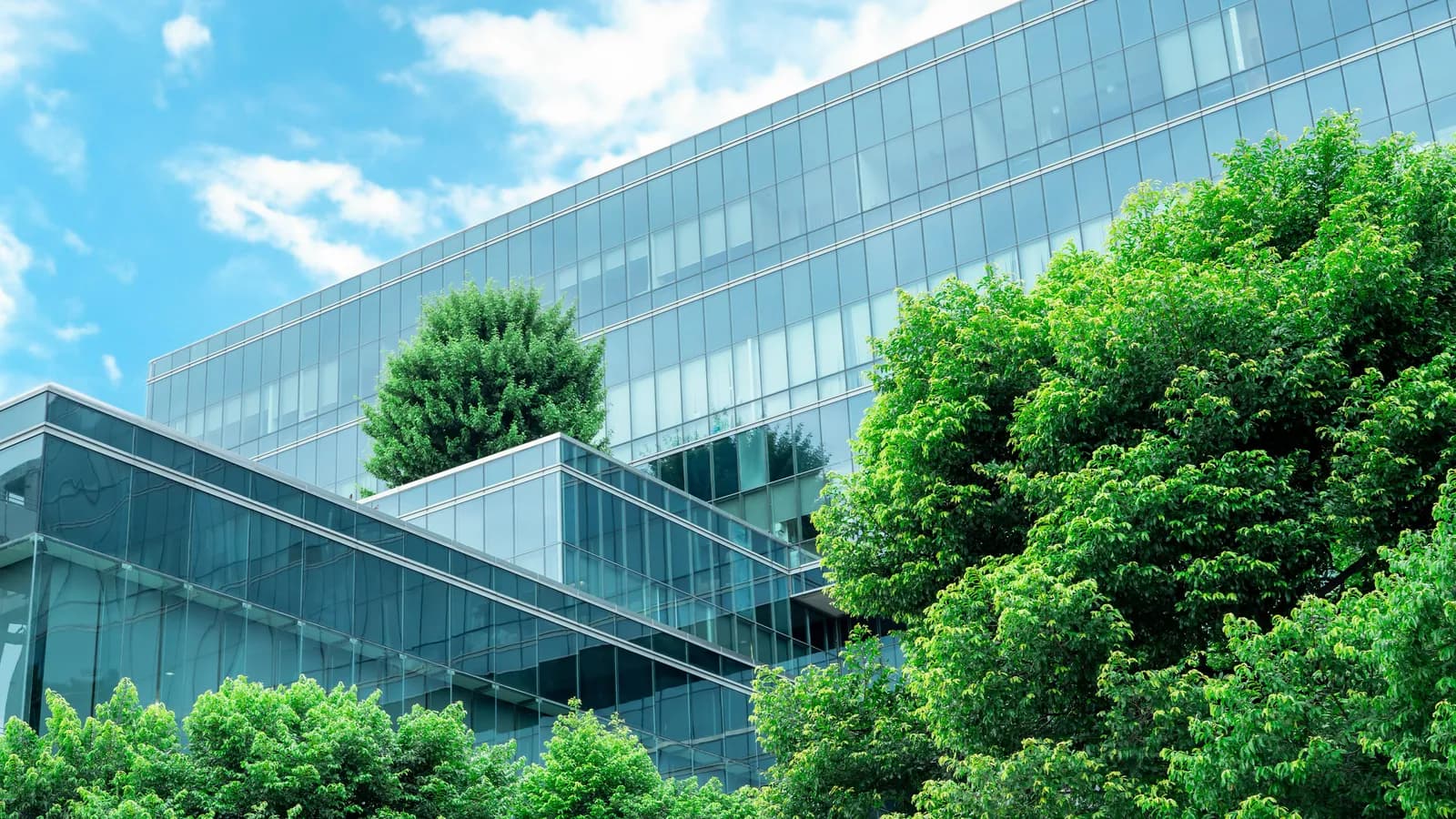 Tầm quan trọng của ESG trong thị trường bất động sản