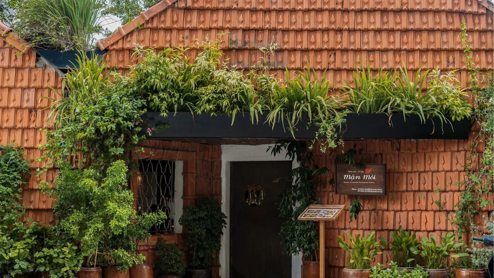 Khám phá ẩm thực từ rừng ngập mặn Cần Giờ