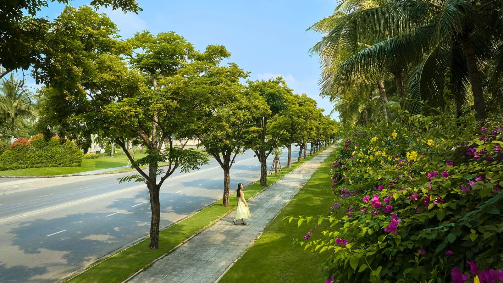 “Con đường cây xanh” trở thành điểm check-in mới tại Đà Nẵng 2024