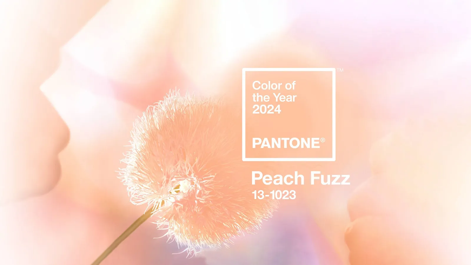 Thổi hồn vào phong cách thời trang với gam màu Pantone 13-1023 Peach Fuzz