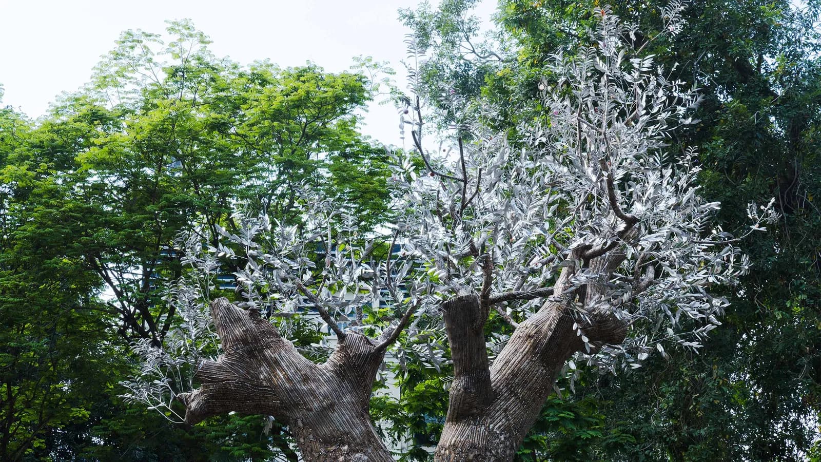 Tia-Thuỷ Nguyễn giới thiệu tác phẩm sắp đặt “Hồi Sinh” tại Hà Nội