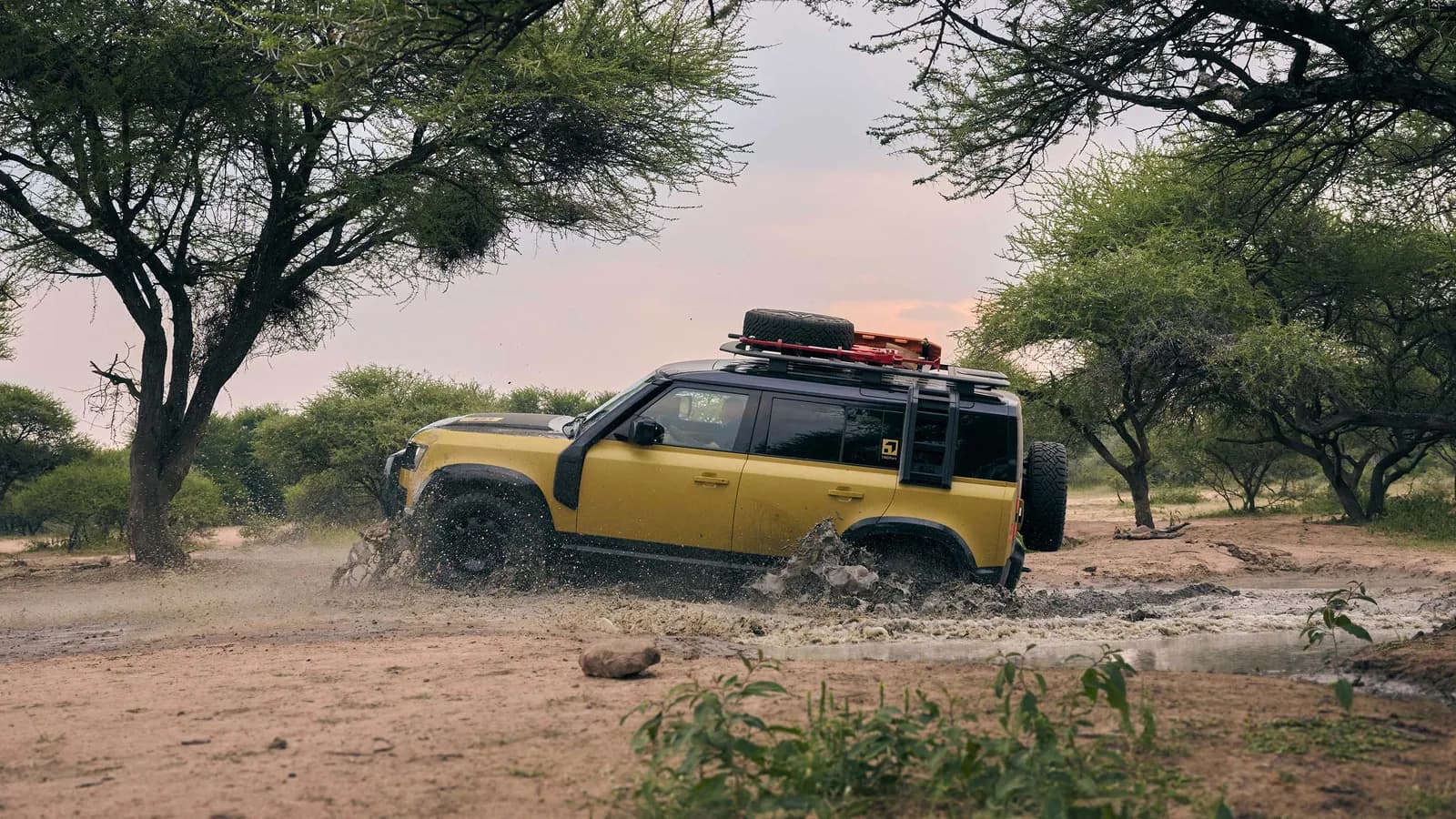 Defender 110 Trophy Edition: Tuyên ngôn miền hoang dã
