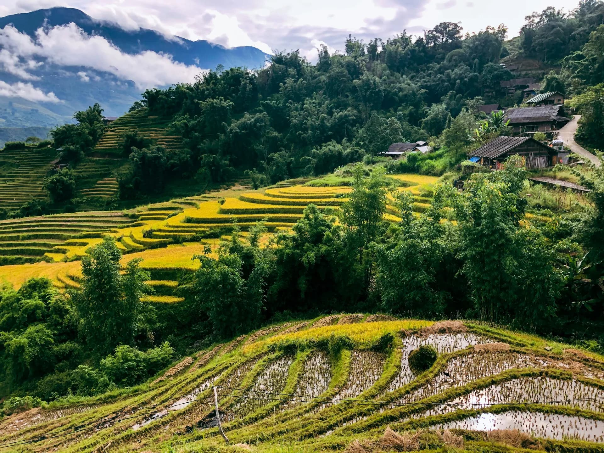 Trên những con đường đèo: Khám phá Sa Pa - Bắc Hà 3 Ngày 2 Đêm