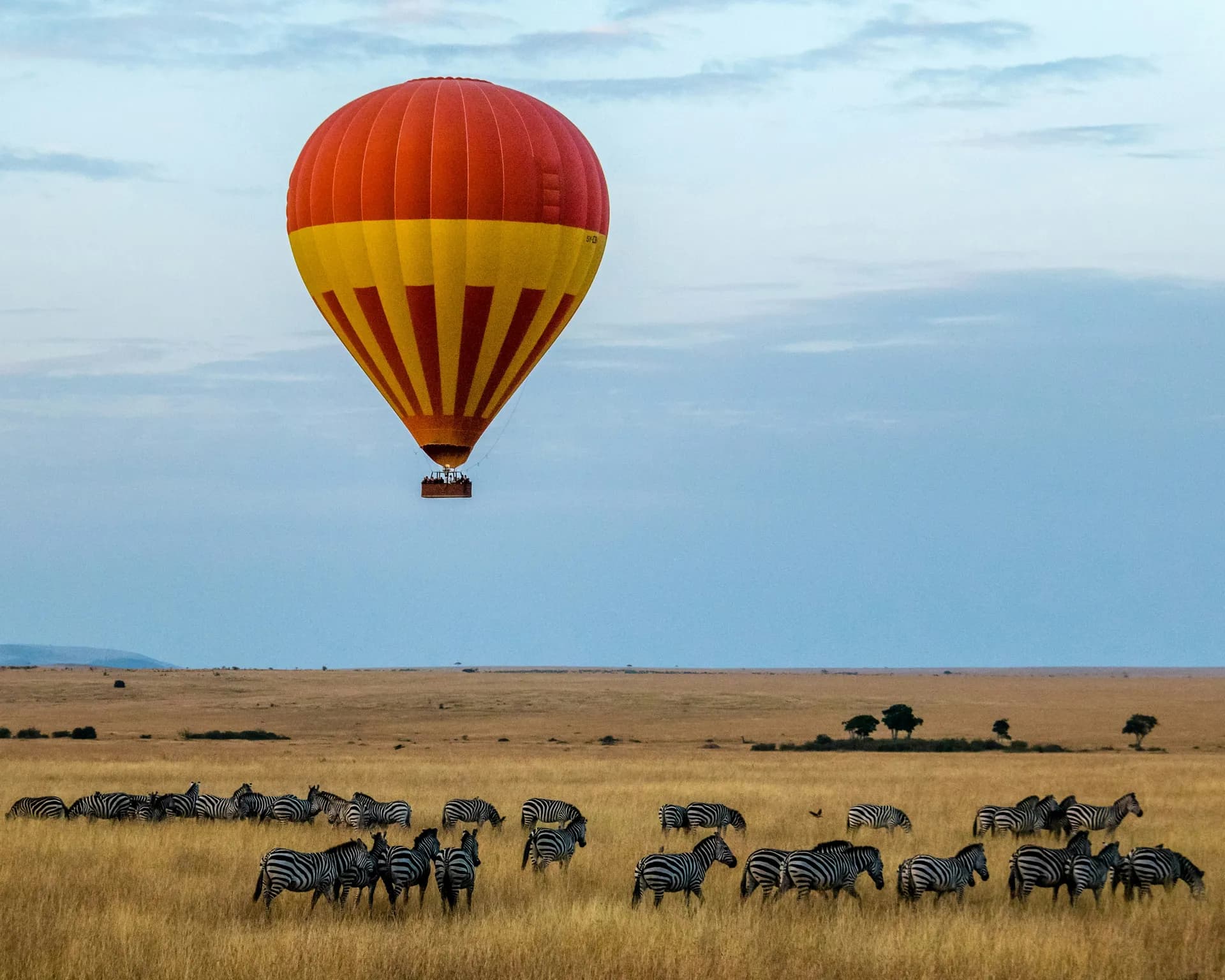 Khởi đầu năm mới qua 5 safari kỳ thú nhất hành tinh