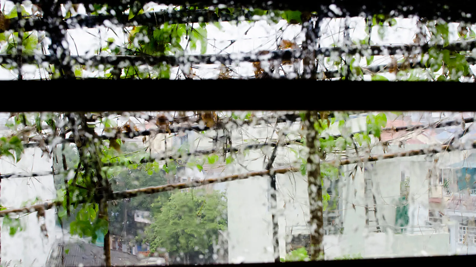 Sài Gòn - Ký ức những mùa mưa