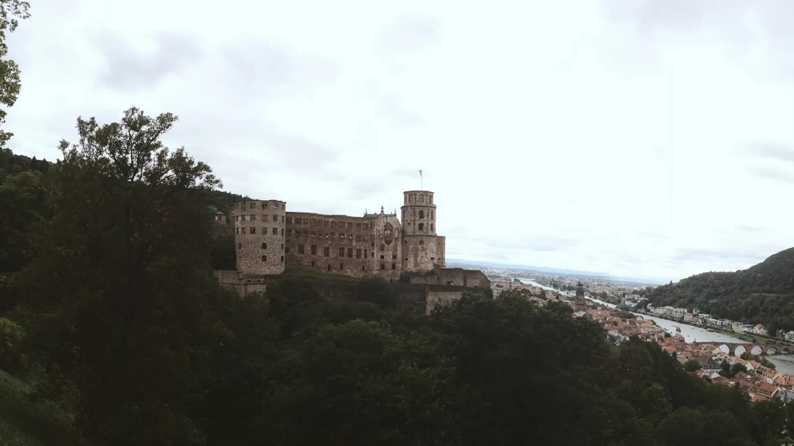 Uống rượu ở Heidelberg