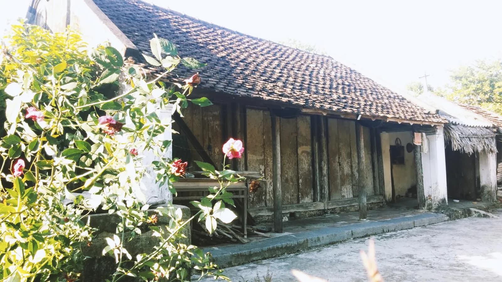 Đi tìm làng quê, hóa ra chất Bắc là thứ cố hữu