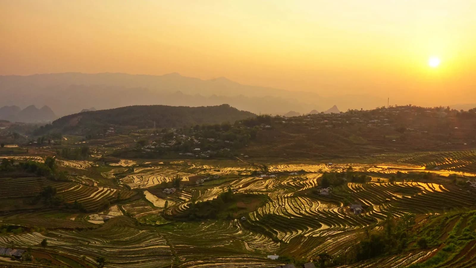 Pu Ta Leng - Rêu, suối và Đỗ quyên