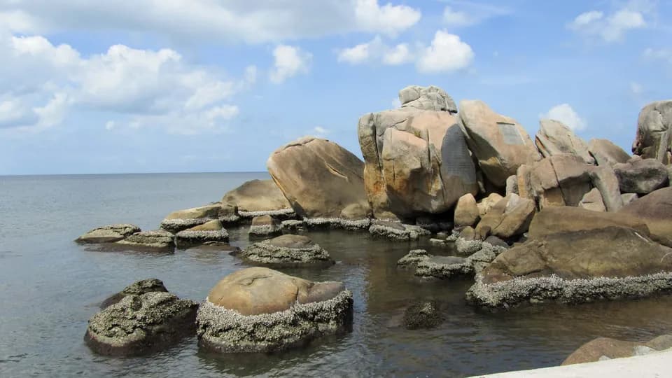 Đến Cà Mau nhớ ghé Hòn Đá Bạc