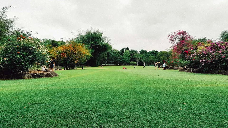 Một ngày chạy bộ tuyệt vời tại Botanic Garden, Singapore