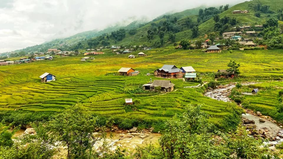 Đi dọc Mường Hoa, nghe lúa vàng hát ca
