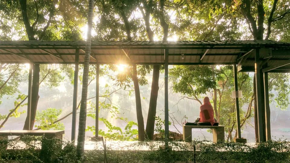 Hành trình tìm về miền sáng nội tại
