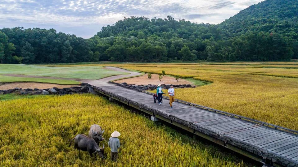 Laguna Lăng Cô khuyến khích các dự án bền vững đăng ký nhận tài trợ từ tập đoàn Banyan Tree