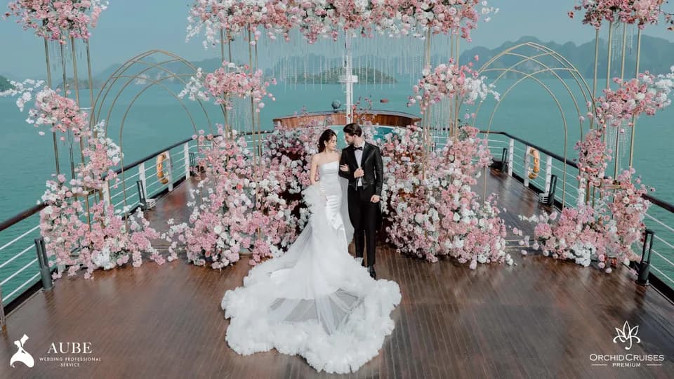 Orchid Cruises – Tận hưởng những khoảnh khắc quan trọng bằng dịch vụ đẳng cấp nhất