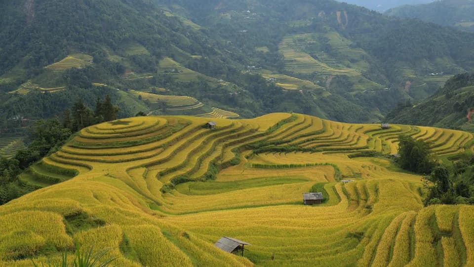 Lên Tây Bắc dạo chợ phiên mùa thu
