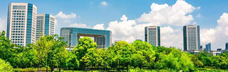 Thị trường cần thay đổi thói quen để phát triển bền vững