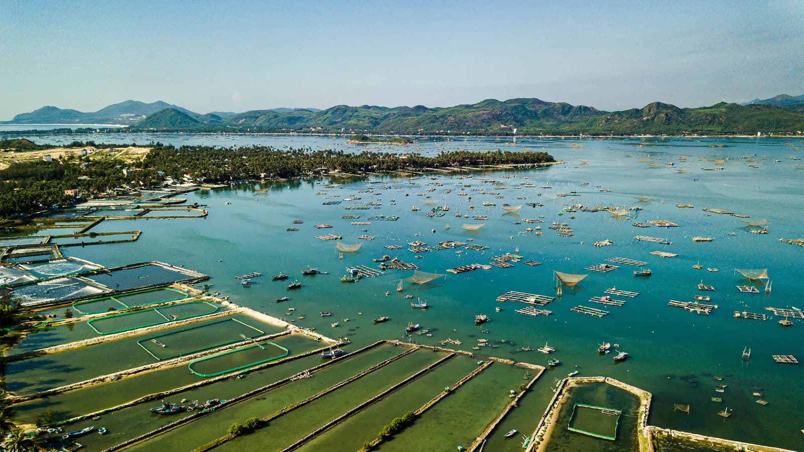 Phú Yên: Một ngày làm bánh tráng nước dừa và giăng lưới bắt cá